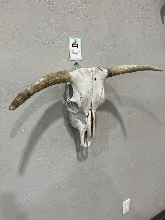 Lrg Crokked Horn Cow