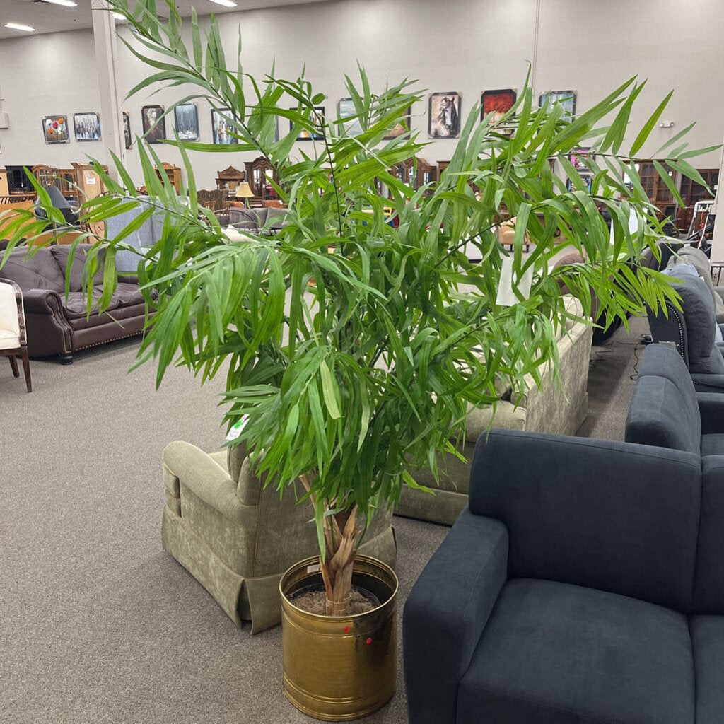 Large Palm Tree in Gold Pot