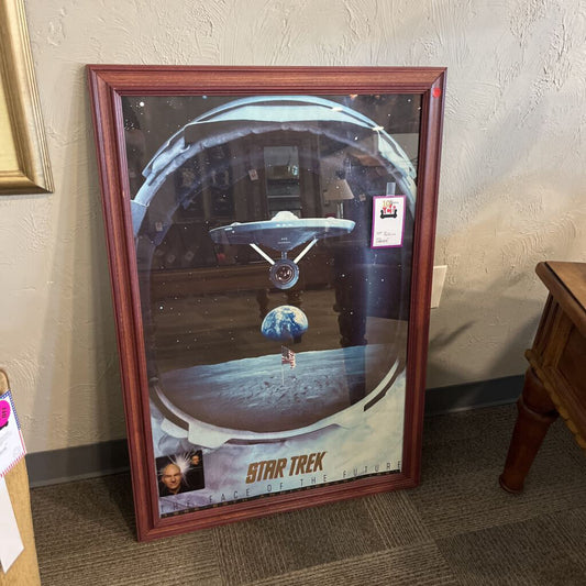 Star Trek Collectible Art