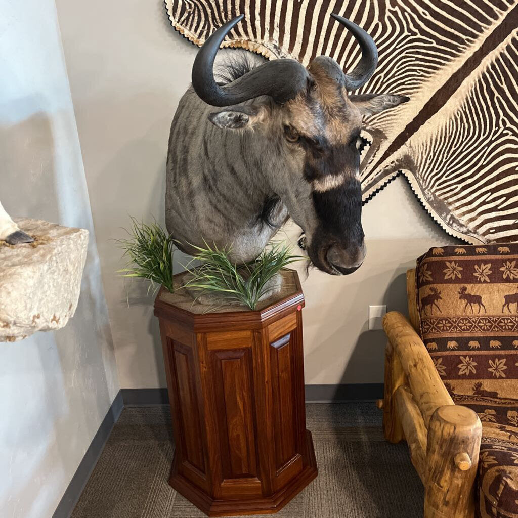 Wildebeest on Pedestal Mount