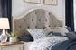 Brollyn  Upholstered Panel Bed